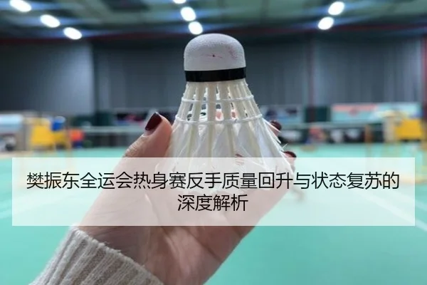 樊振东全运会热身赛反手质量回升与状态复苏的深度解析